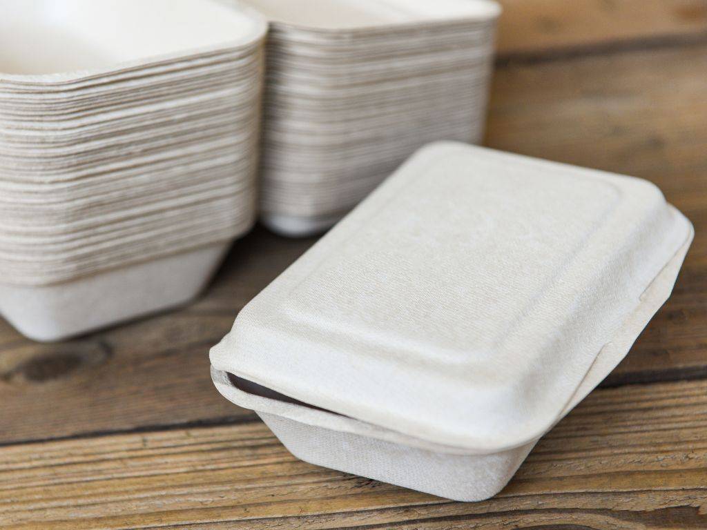 Bio Disposable Containers