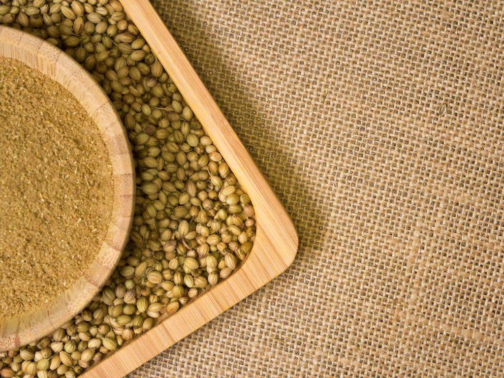 Coriander Powder